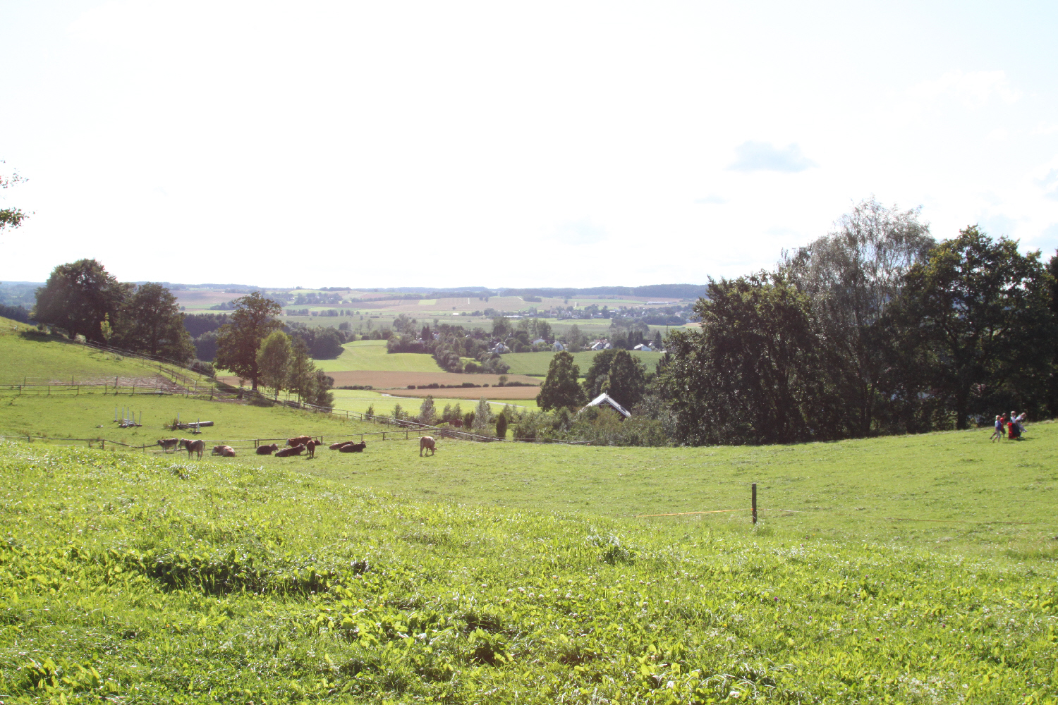 jahrholzweg 9 grafrath